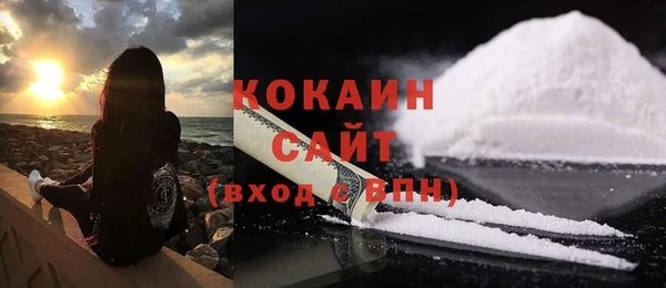 спайс Бородино