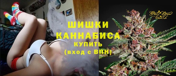 СК Бронницы