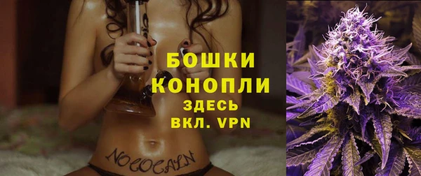 спайс Бородино