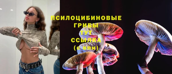 спайс Бородино